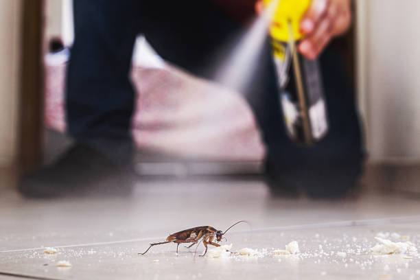 Pest Control for Restaurants in South Coatesville, PA